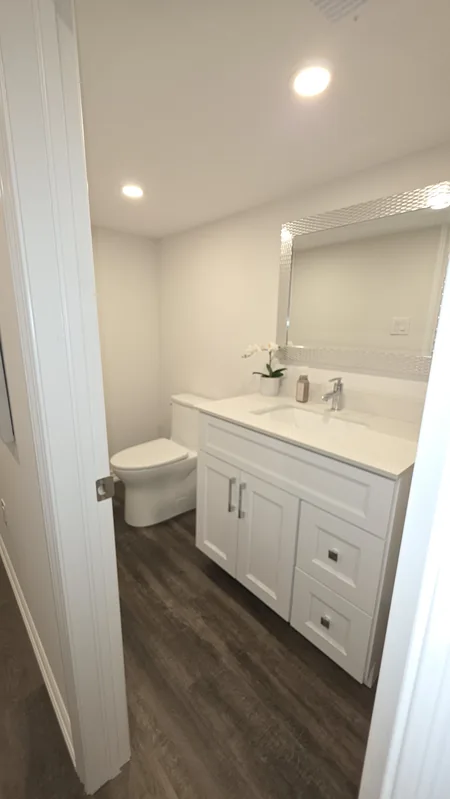 Basement remodeling Maple: the new powder room — built in Woodbridge