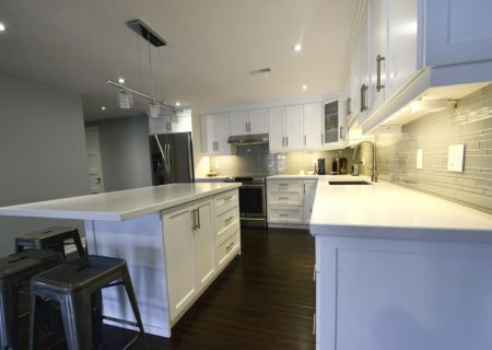 Gorgeous Basement in Aurora