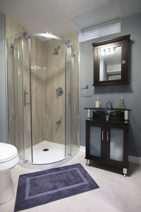 Shower-basement-renovation-remodeling image