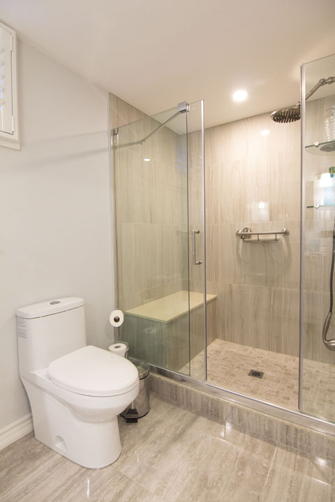 Walk-in shower and toilet in Etobicoke