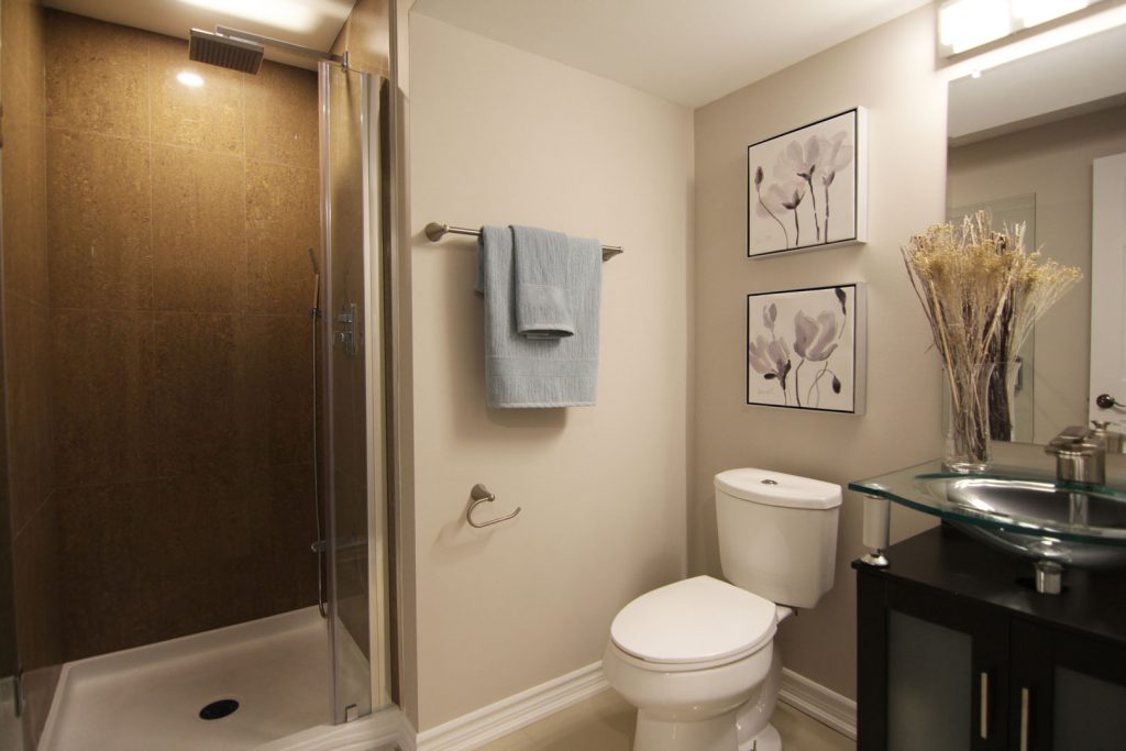 Basement-washroom-shower-toilet-king-city