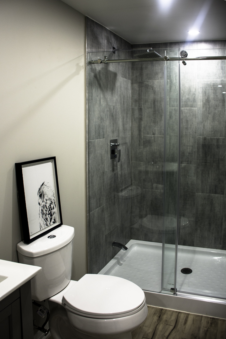 toilet in a basement renovation